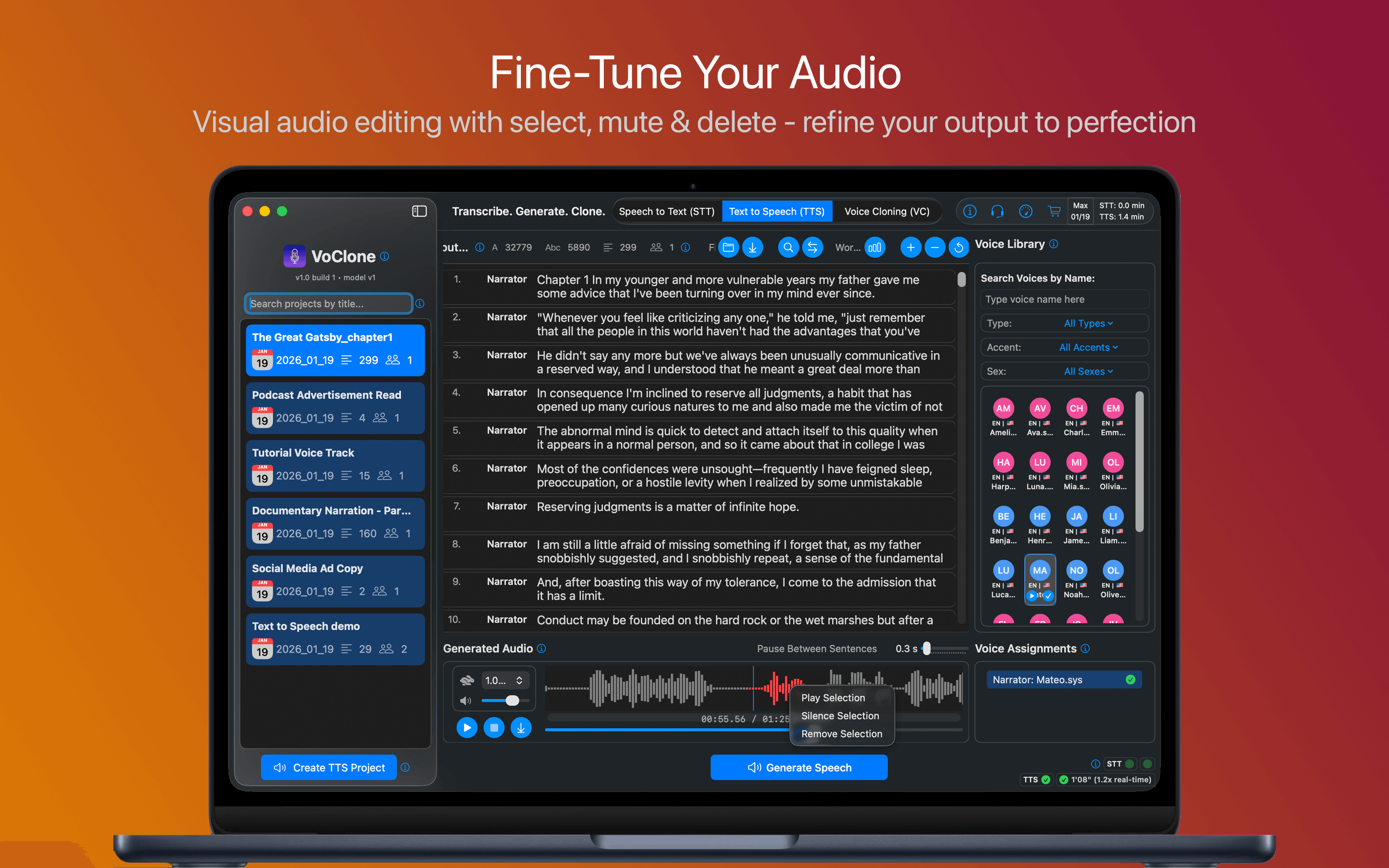 Text-to-Speech Fine-tune